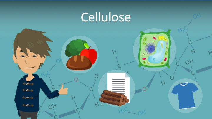 Zum Video: Cellulose