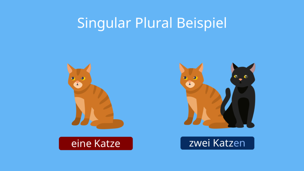 Singular Plural, Plural Singular, Singular Plural deutsch, Plural und Singular, Singular und Plural