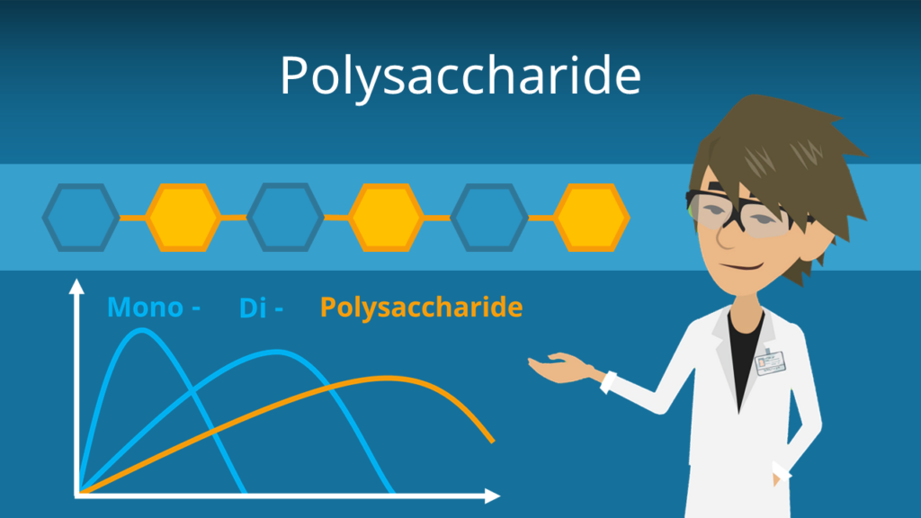 Zum Video: Polysaccharide