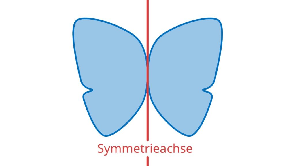 Symmetrieachse, Was ist eine Symmetrieachse, Symmetrieachsen, Was sind Symmetrieachsen, Symmetrieachse einzeichnen, Symmetrieachsen rechteck, wie viele Symmetrieachsen hat ein Quadrat, Symetrieachse, Symmetrieachse Grundschule, Was ist eine Spiegelachse, Symmetrieachsen Quadrat, Symetrieachsen, Was ist die Symmetrieachse, Symmetrieachse Schmetterling, Spiegelachse Schmetterling
