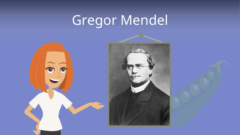 Zum Video: Gregor Mendel
