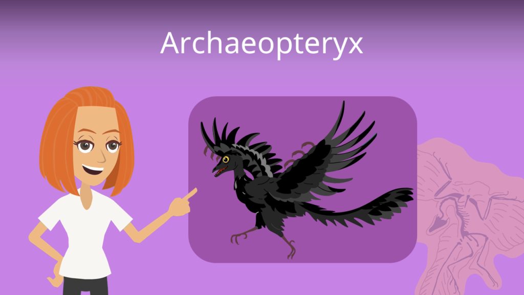 Zum Video: Archaeopteryx