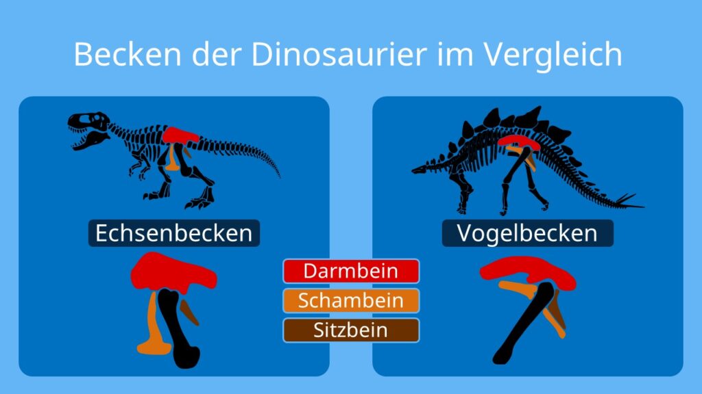 dino arten, dinosaurier-arten, dinosaurierarten, arten dinosaurier, dino arten namen, saurier arten, dinosaurier übersicht