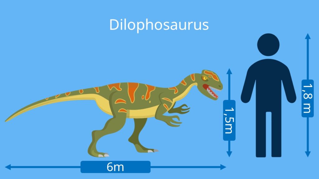 dino arten, dinosaurier namen, dilophosaurus,  dinosaurier-arten, dino namen, dinosaurierarten, arten dinosaurier, dino arten namen, fleischfresser dinosaurier, dinosaurier fleischfresser