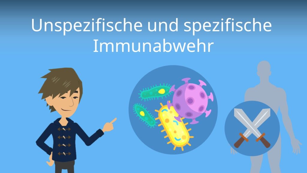Zum Video: Unspezifische Immunabwehr und spezifische Immunabwehr