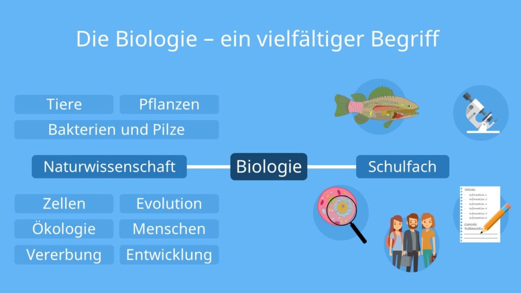 was ist biologie, biologi, biologie definition, was bedeutet biologie, definition biologie, biologie bedeutung, was heißt biologie, biologie übersicht, schulfach bio, schulfach biologie, bio als schulfach, biologie in der schule