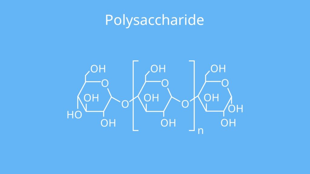 Polysaccharose, Stärke, organische Chemie, Haworth, Mehrfachzucker, organische Chemie Grundlagen, Organische Chemie einfach erklärt