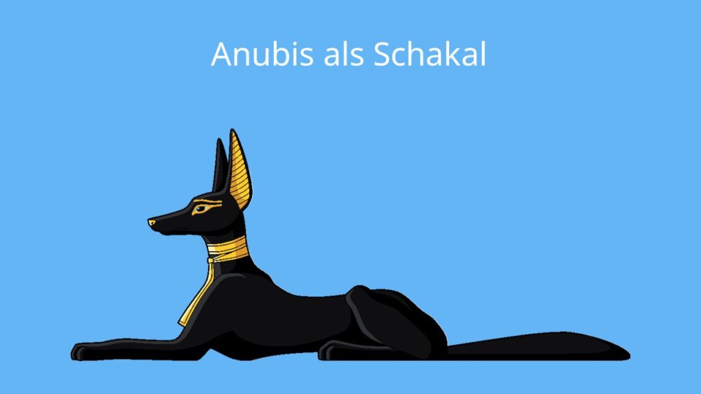 anubis egyptian god, god anubis, anubis gods of egypt, gods of egypt anubis, schakal ägypten, anubis schakal, anubis god, anubis bedeutung