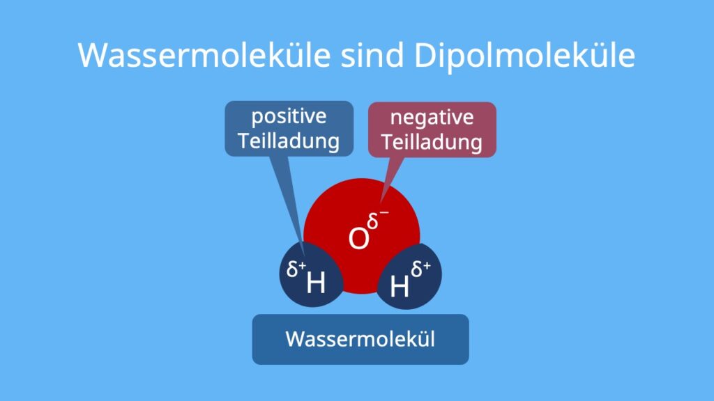 Dipol, Dipolmolekül, Dipol Dipol Wechselwirkungen, Dipolkräfte, Wassermolekül, Wasser
