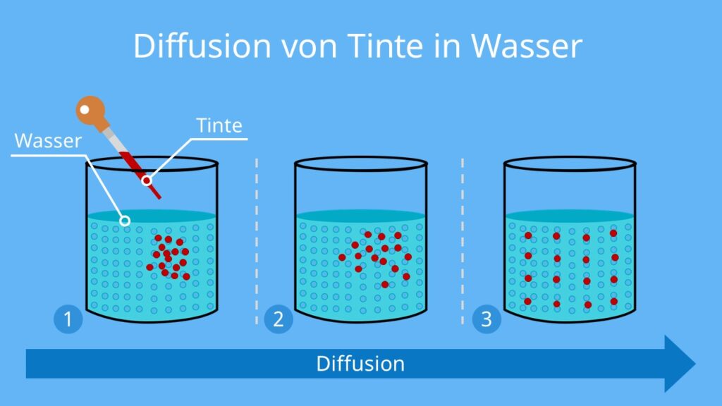 osmose definition, diffusion und osmose, was ist osmose, osmose und diffusion, osmose biologie, osmose diffusion, osmose einfach erklärt