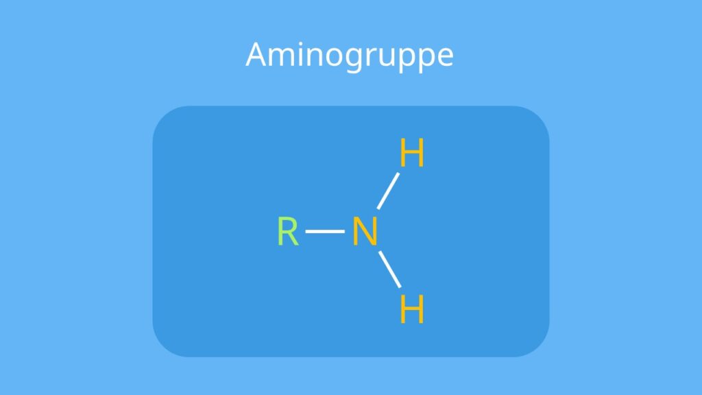 Aminogruppe, Amino Gruppe, nh2 chemie, Was sind Amine? basizität, primäres Amin, sekundäres Amin, Tertiäres Amin, nh2