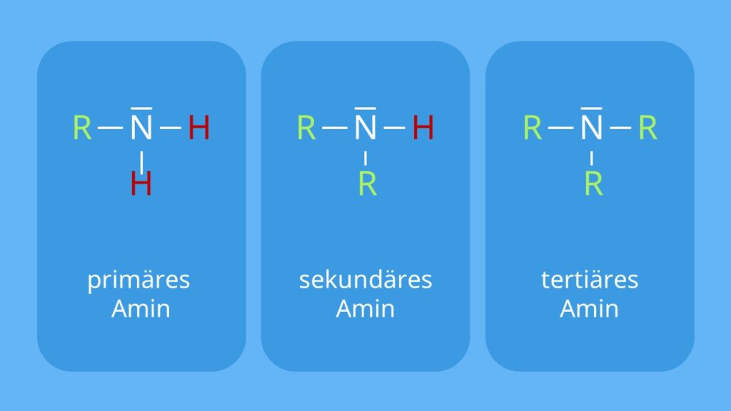 Aminogruppe, Amino Gruppe, nh2 chemie, Was sind Amine?, basizität, primäres Amin, sekundäres Amin, Tertiäres Amin, nh2