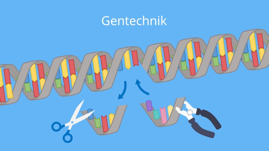 DNA, Genome Editing, Gentechnik