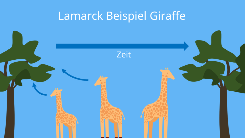 Lamarck, Evolutionstheorie, Giraffe, aktiver Prozess, Inkonstanz der Arten, Beispiel