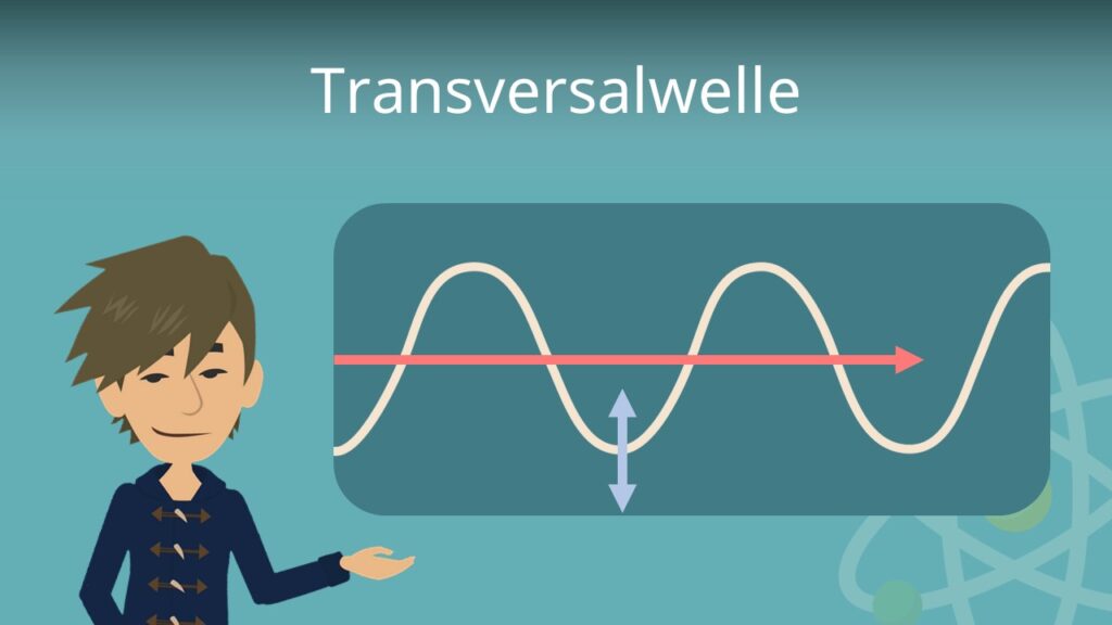 Zum Video: Transversalwelle