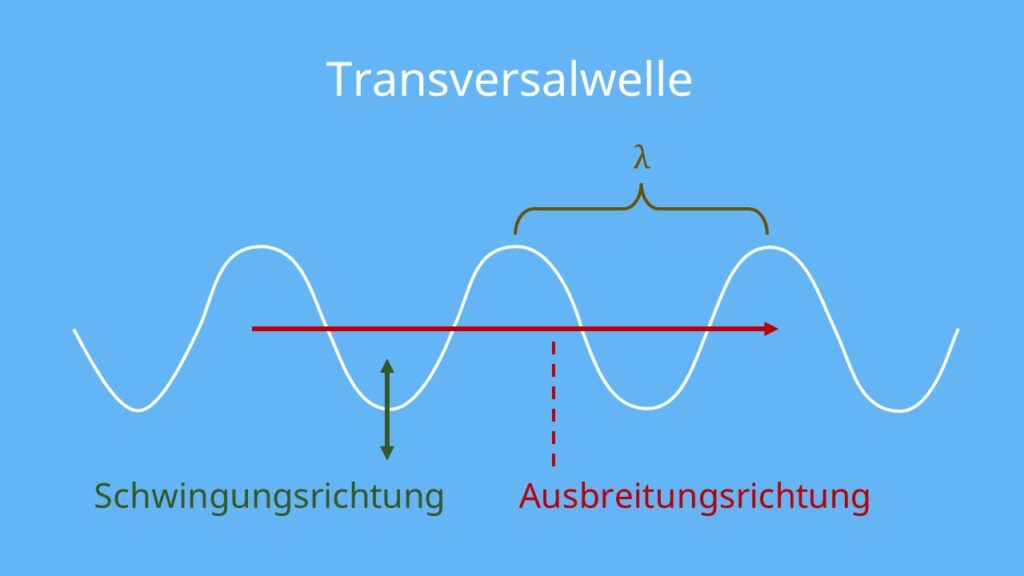 Transversalwellen; Transversalwellen Longitudinalwellen; Transversalwellen Beispiel