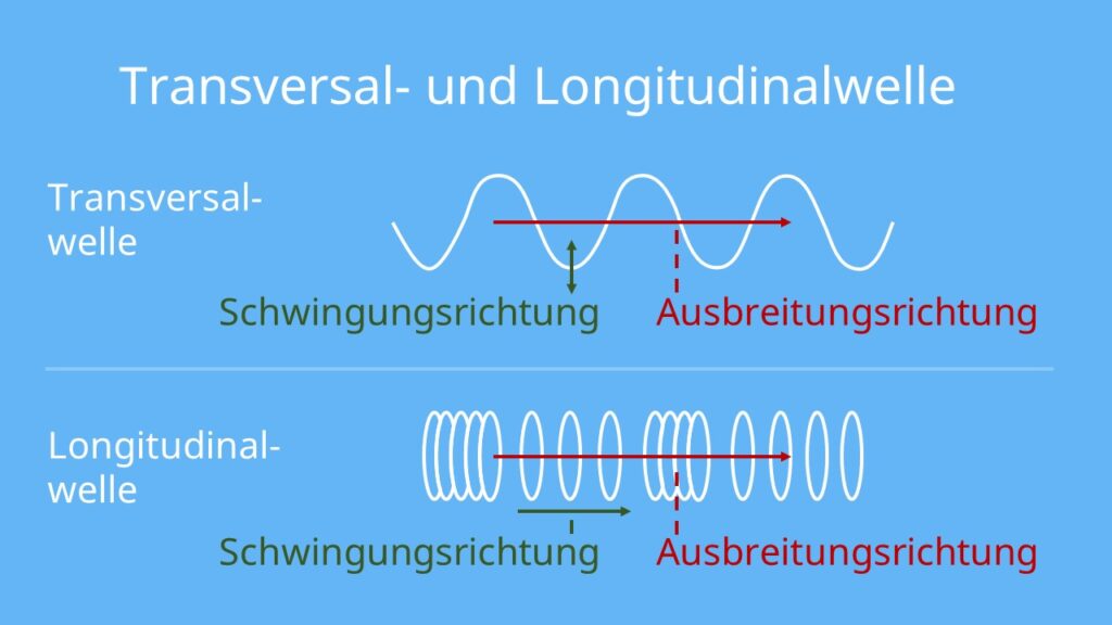 Transversalwellen; Transversalwellen Longitudinalwellen; Transversalwellen Beispiel
