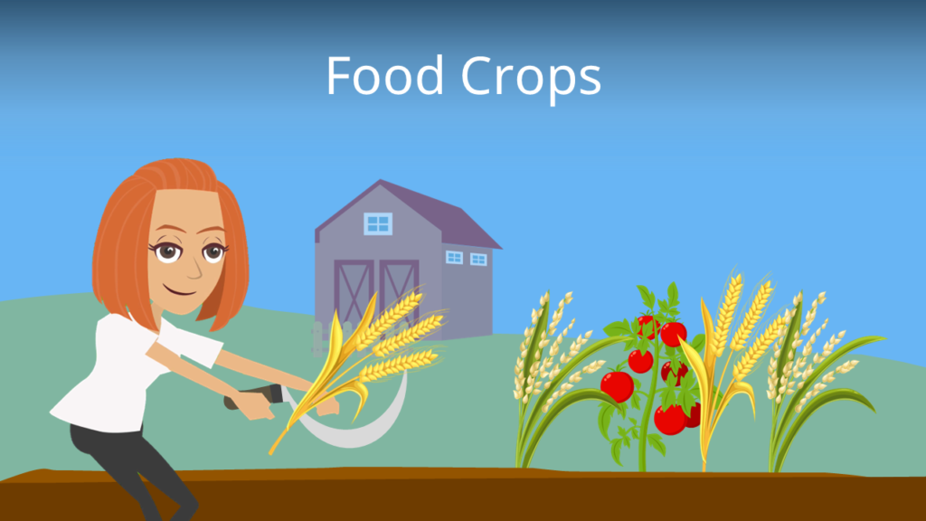 Zum Video: Food Crops