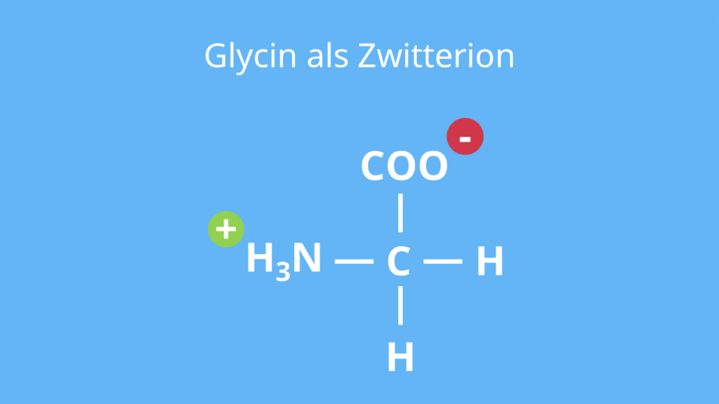 zwitterion, zwitterionen aminosäuren, zwitterionen, zwitterion aminosäuren, zwitterion aminosäure , was ist ein zwitterion, aminosäuren zwitterion, aminosäure zwitterion, zwitter ion, zwitterion definition