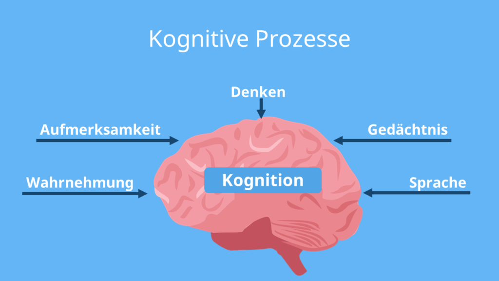 kognition definition, kognitionen definition, was bedeutet kognitiv, was ist kognition, kognition bedeutung, kognition, kognitiv definition, kognitionen, kognitive wahrnehmung, kognitive fähigkeiten, kognition einfach erklärt, kognition synonym, was bedeutet kognition