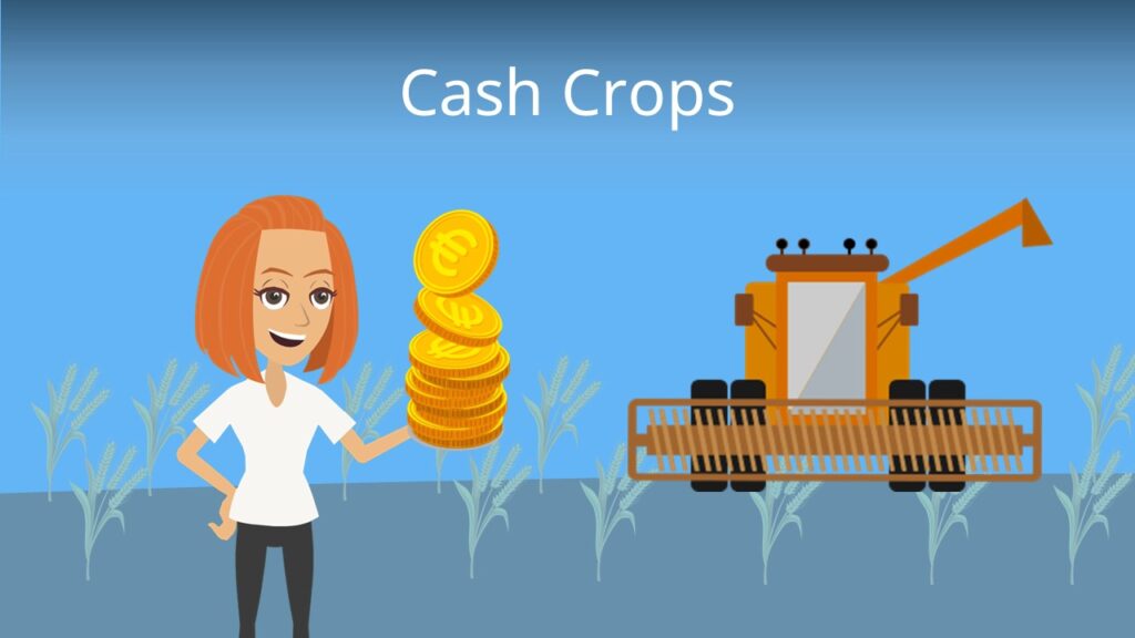 Zum Video: Cash Crops